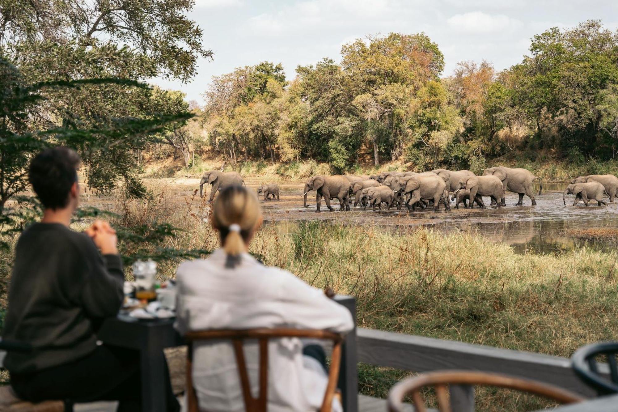 Simbavati River Lodge Заповедник Тимбавати Экстерьер фото