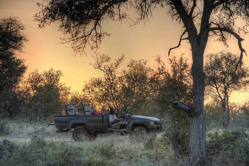 Simbavati River Lodge Заповедник Тимбавати Экстерьер фото