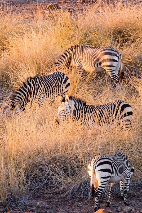 Simbavati River Lodge Заповедник Тимбавати Экстерьер фото